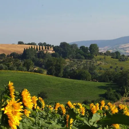 Le Querce Villa Serrapetrona