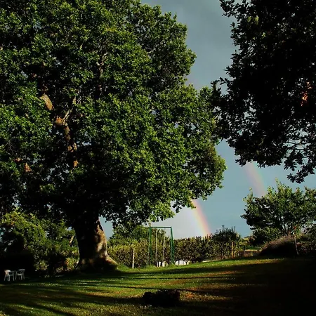 Le Querce * Serrapetrona