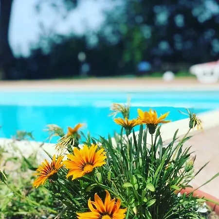 Le Querce * Serrapetrona